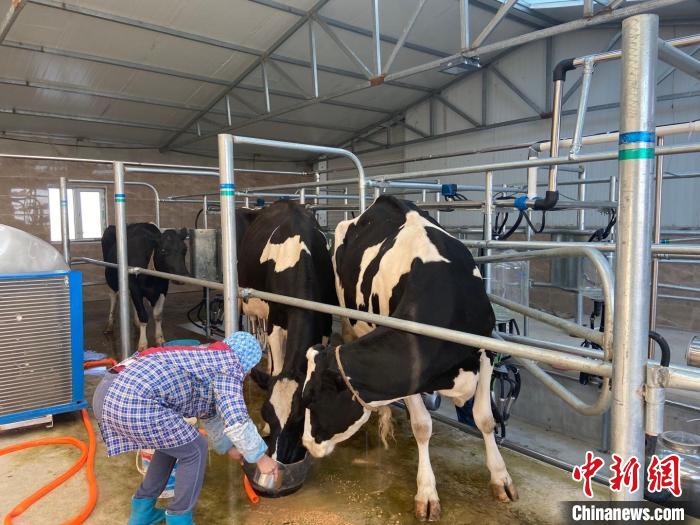 锡林郭勒草原牧民贷庆：从骑摩托的收购小贩到非遗传承人