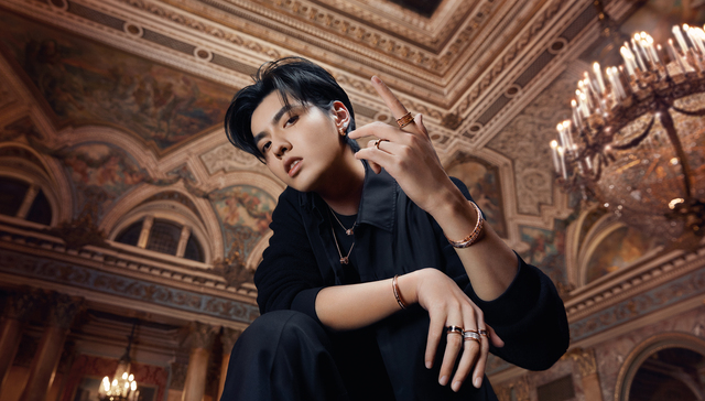 【深度】奢侈品牌到了反思使用流量明星做代言人的时候了