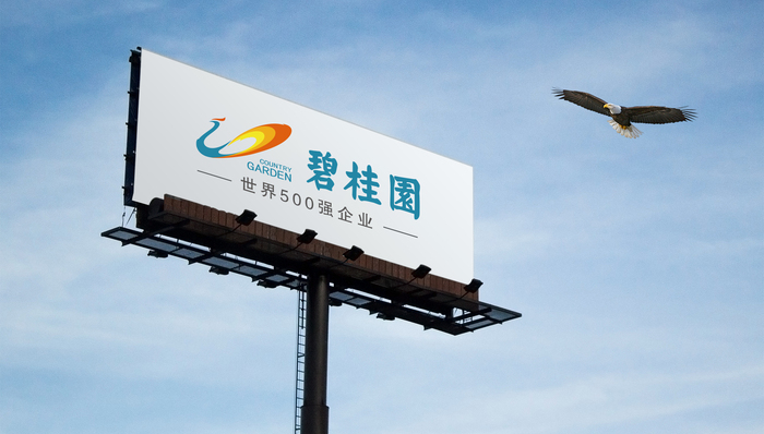 碧桂园,世界500强