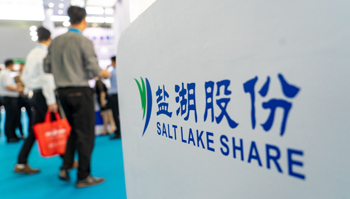 锂电池,盐湖股份