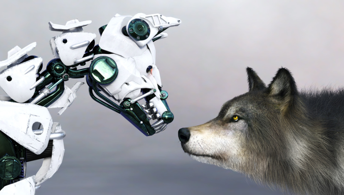 商业化困局,落地场景