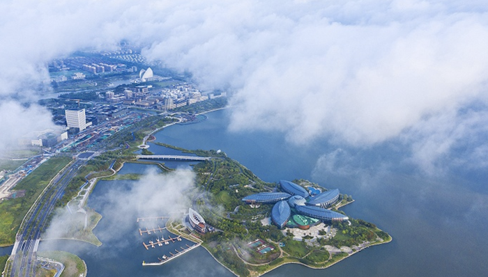 临港新片区，十四五规划，金融开放，政策突破，改革,金融监管沙盒