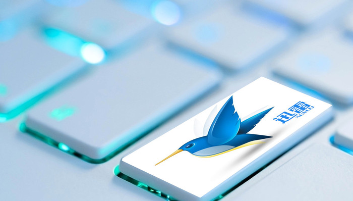 迅雷二季度营收同比增24.6%，但会员数跌破400万