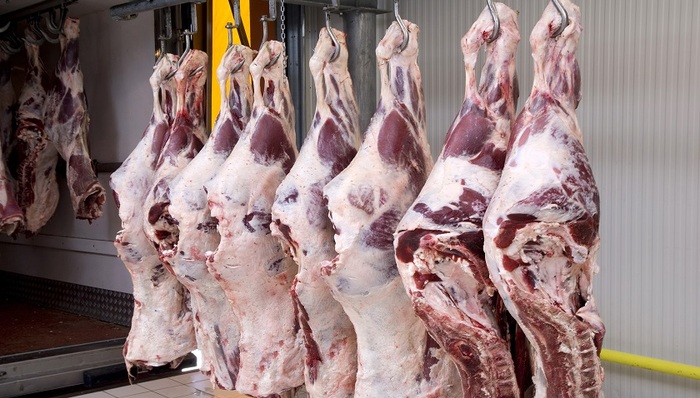 财说| 双汇发展业绩下滑真相：被转移的利润红利