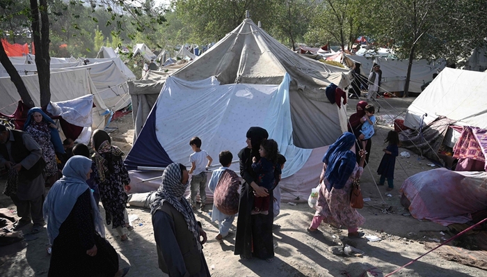 阿富汗,塔利班,难民