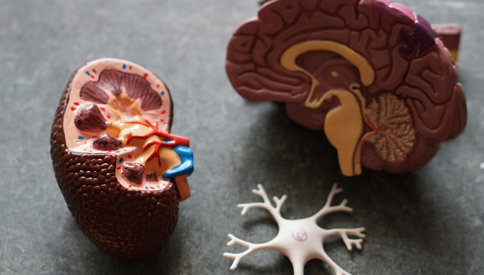 神经介入,市场竞争,推广