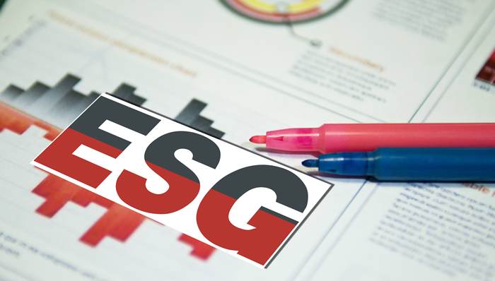 ESG热度升温，四大会计师事务所急于加入浪潮