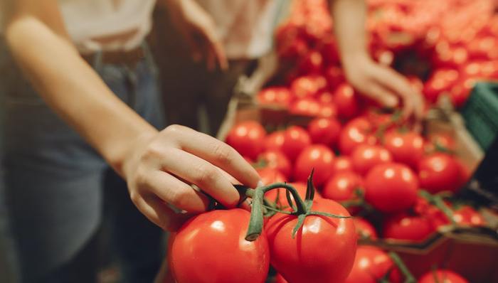 低价竞争,烧钱补贴,同质化,团购模式