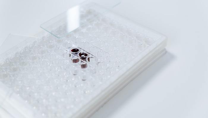 东方生物,清仓减持,股价