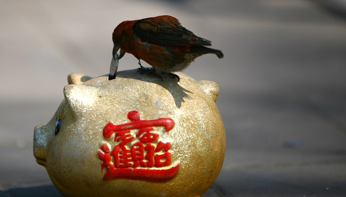 财经速递,中国央行