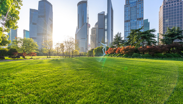 中国气候变化事务特使解振华：我国正制定“1+N”政策体系