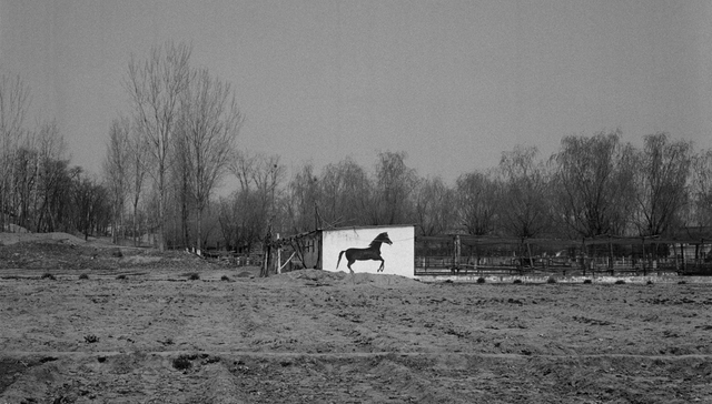 摄影师严明：照片是时间的偈语，每一声快门都是送别