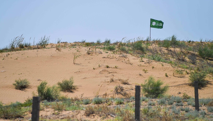 网友吐槽“根本不种树”，蚂蚁森林回应称雨量较少影响长势