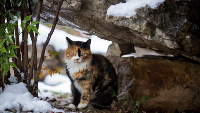 文学,童话,新书,散文