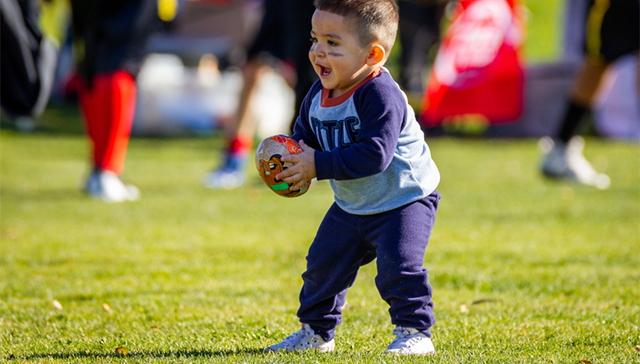 培训,政府监管,双减,体育培训,资本市场