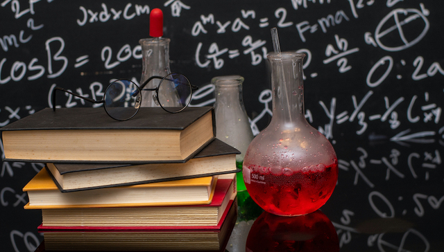 早期教育、成绩分级和职教分流：影响教育公平的三大政策