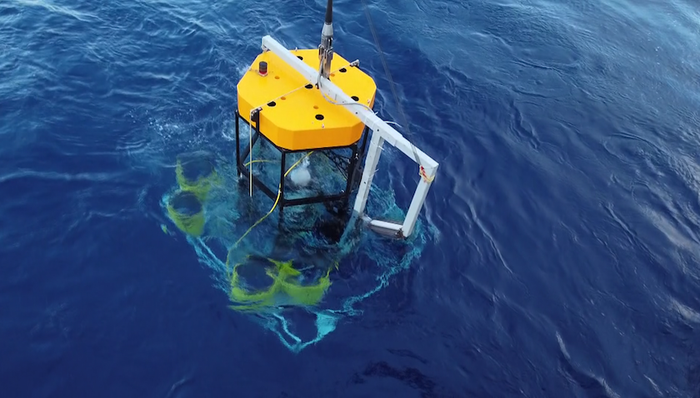 上海交大,海铃计划,深海,望远镜,中微子