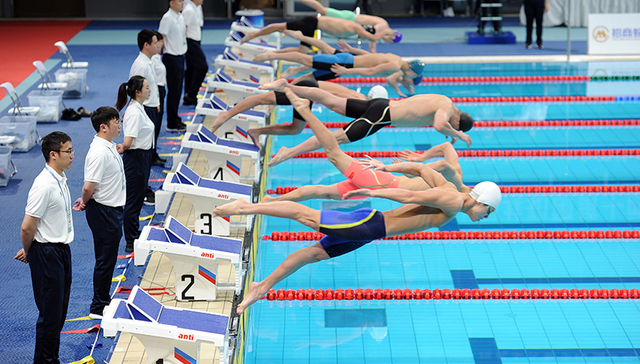 张雨霏领衔全运游泳赛场，奥运冠军扎堆兼项成劳模
