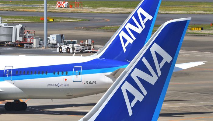 承办机上婚礼、拍卖头等舱座椅，全日空“花式自救”