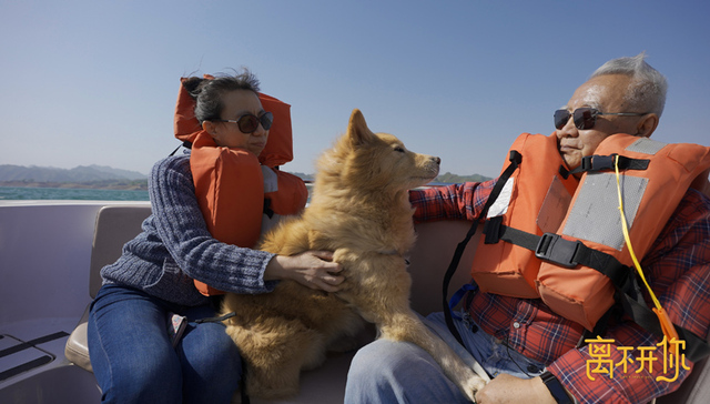 催泪宠物纪录片《离不开你》：纪录片剧场化的一种实验