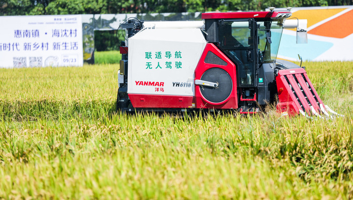 上海,农业,浦东,丰收节,美食节