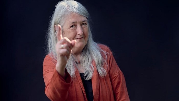 历史,新书,访谈