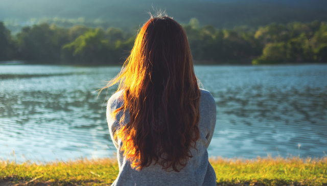 李子柒,品牌价值,利益分配