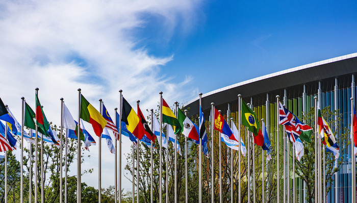 小叶子,第四届进博会,志愿者,招募,选拔,高校