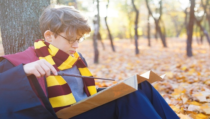 霍格沃兹,哈利波特