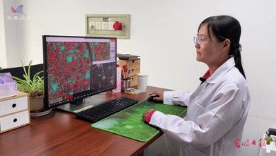 科普中国繁星追梦|卫星“种地”不一般！一起了解农业遥感