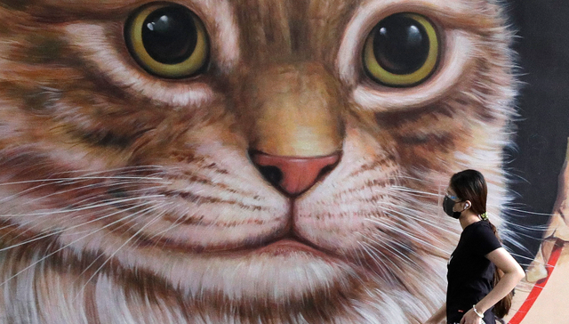 当今的物种歧视：人类优先了就安全了吗？