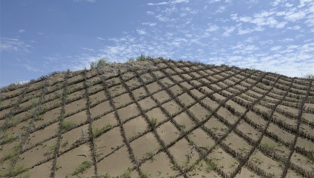 国家林草局：我国沙化土地年均缩减1980平方公里