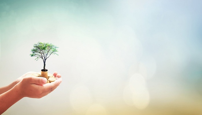 定增,蔚蓝锂芯,