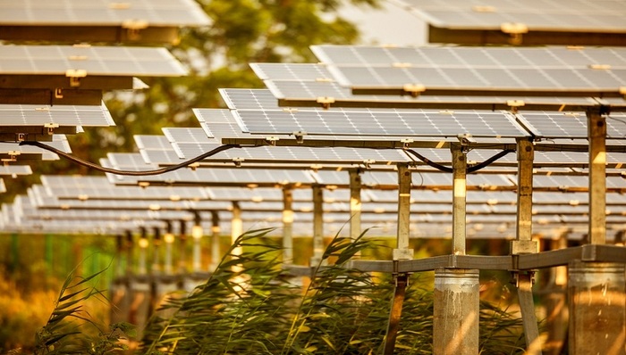 金晶科技,三季报,玻璃,光伏玻璃