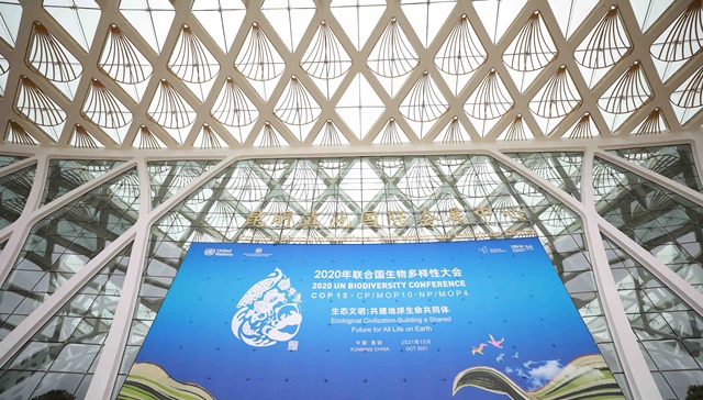 数据 | 一图读懂COP15