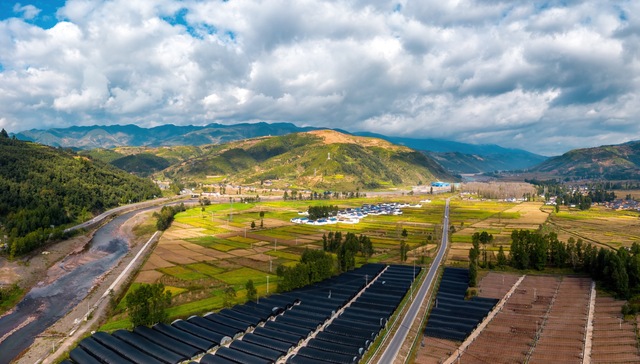 习近平：抓紧制定促进共同富裕行动纲要