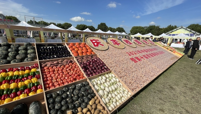 上海,青浦,丰收节