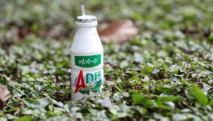 多元化发展,营收