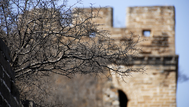 当王阳明遇见马丁·路德：明朝为何错失了历史机遇？