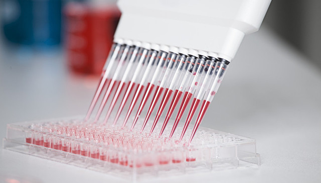 北京丰台通报1例甘肃来京人员核酸阳性，为宁夏病例密接