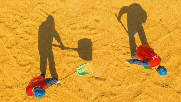 财经速递,猪肉,农业