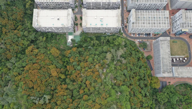 城市意象：原典与新用