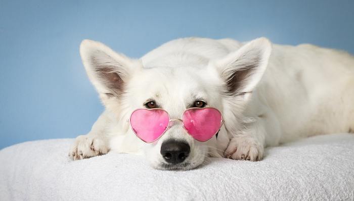 家电,家装,智能设备