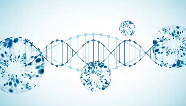 千亿市场，解析国内最大消费级基因检测和癌症筛查基因检测平台的成功要素