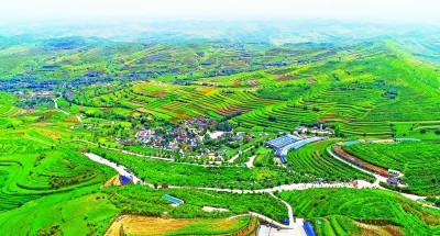 乡村治理,西海固,共同体意识,循环生产,1983年,李金科,动能,乡村旅游,宁夏南部山区,青砖黛瓦