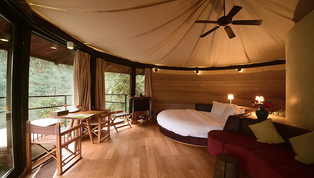 坚持可持续理念，裸心谷举办“10周年森林嘉年华”庆典