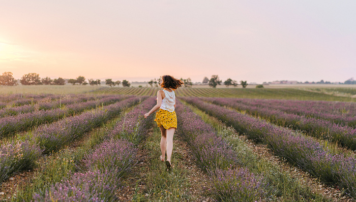 法国,城市化,乡村