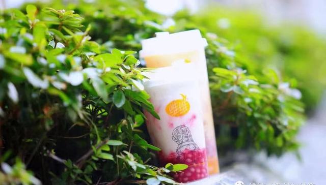 维维豆奶,颐和园