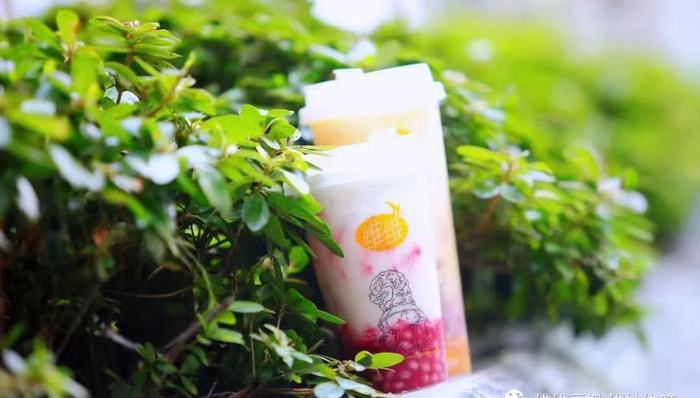 维维豆奶,颐和园