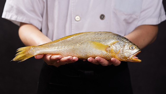 轩尼诗概念酒吧 BLENDS by Hennessy 迎来周年，林家一上海首店落户外滩中央 | 美食情报